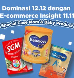 E-commerce Insight 11.11
